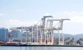 Super panamax cranes at the Port of Oakland