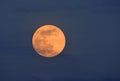 Super Pink Moon April 2020 Royalty Free Stock Photo