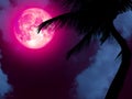 super pink moon back silhouette coconut tree in garden