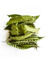 Super premium dried kratom leaves and regular leaves mytragina Speciosa