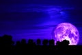 Super purple snow moon back silhouette tree on dark sky Royalty Free Stock Photo