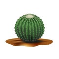 Super Realistic desert big round cactus Echinocactus. Plant of desert among textured gradient sand. Realistic 3d volume vector