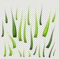 Super realistic, detailed fresh green vector grass. Isolated plant stems for front plan nature illustration. Gradient Royalty Free Stock Photo