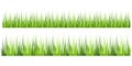 Super realistic, detailed fresh green vector grass. Isolated plant stems for front plan nature illustration. Gradient Royalty Free Stock Photo