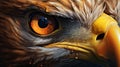 Super Realistic Eagle Eye Painting In Vray Tracing Style