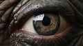 Super Realistic Hippopotamus Eye - Close-up Shots In The Style Of Michal Karcz