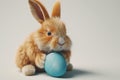 A super realistic image of an Easter bunny rabbit, with exquisitely detailed fur, gently cradling a matte blue painted egg