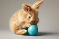 A super realistic image of an Easter bunny rabbit, with exquisitely detailed fur, gently cradling a matte blue painted egg