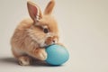 A super realistic image of an Easter bunny rabbit, with exquisitely detailed fur, gently cradling a matte blue painted egg