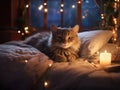 super realistic photo, small, cozy bed with pillows and a rumpled blanket