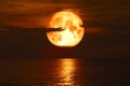 Super rose blood moon back silhouette cloud red sky over sea