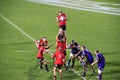 Super Rugby Game Players Line-out Throw Royalty Free Stock Photo