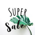 Super sale text with real monstera leaves set on white