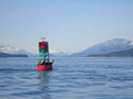 Alaska Harbor Seals - Alaska Marine Mammal Images