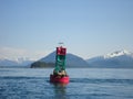 Alaska Harbor Seals - Alaska Marine Mammal Images