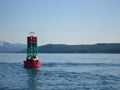 Alaska Harbor Seals - Alaska Marine Mammal Images