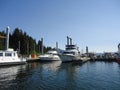 Alaska Whale Watching - Alaska Marine Mammal Images