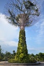 Super-tree in Garden by the bay