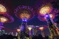 Super tree light glowing Singapore landmark Gardens by the Bay and Marina Bay Sands building with night sky background landscape Royalty Free Stock Photo