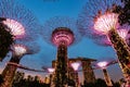 Super tree light glowing Singapore landmark Gardens by the Bay and Marina Bay Sands building with sunset twilight sky background