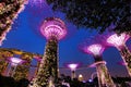 Super tree light glowing Singapore landmark Gardens by the Bay and Marina Bay Sands building with sunset twilight sky background