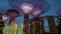 Super-tree park is landmark Singapore at night. cityscape is colorful show to lighting at Marina Bay Sand.