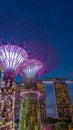 Super-tree park is landmark Singapore at night. cityscape is colorful show to lighting at Marina Bay Sand.