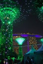 Super Trees lit up at Gardens by the Bay Singapore