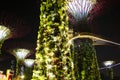 Super Trees lit up at Gardens by the Bay Singapore Royalty Free Stock Photo