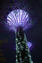 Super Trees at Gardens by the Bay Singapore Royalty Free Stock Photo