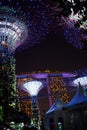 Super Trees at Gardens by the Bay Singapore, Night Scene