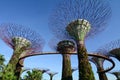 Super Trees at Gardens by the Bay in Singapore