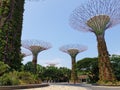 Super trees gardens by the bay