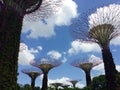 Super Trees, Gardens by the Bay