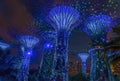 Super trees illuminated by blue and green lights in the grove in the Gardens by the Bay in Singapore, Asia Royalty Free Stock Photo