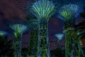 Super trees illuminated by blue, green lights in the grove in the Gardens by the Bay in Singapore, Asia Royalty Free Stock Photo