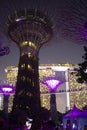 Super Trees lit up at Gardens by the Bay Singapore Royalty Free Stock Photo