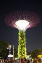 Super Trees lit up at Gardens by the Bay Singapore Royalty Free Stock Photo