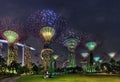 Super Trees Night Scene at Singapore Gardens by the Bay Royalty Free Stock Photo