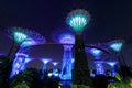 Super Trees at Singapore Gardens by the Bay