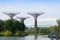 Super Trees at Singapore Gardens by the Bay