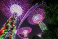 Super Trees at Singapore Gardens by the Bay