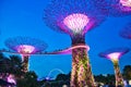 Singapore Super Tress During the Blue Hour Royalty Free Stock Photo