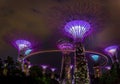Super Trees in Singapore
