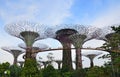 Super Trees, Singapore