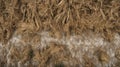 Close-up View Of Reeds And Mud: Aerial Abstractions In Rural China