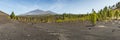 Super wide panoramic view of Chinero - Arenas Negras Park and lava fields around. Bright blue sky and white clouds. Teide volcano Royalty Free Stock Photo