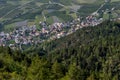 Superb aerial view of Corzes - Kortsch, from Monte di Silandro - Schlanders, South Tyrol, Italy Royalty Free Stock Photo