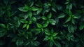 Superb Clean Green Foliage Texture AI Generated