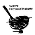 superb-fairywren silhouette isolated with a white background